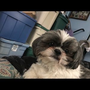 Meet your Posher, Kim